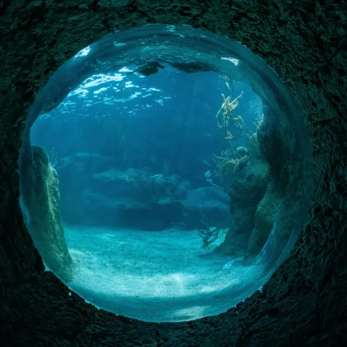 This is From Space to the Deep Sea: The Survival Challenges of Stainless Steel in Extreme Environments photo